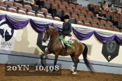 20YN_10408 thumbnail