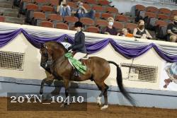20YN_10410 thumbnail