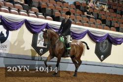 20YN_10414 thumbnail