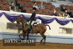20YN_10416 thumbnail