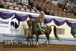20YN_10419 thumbnail