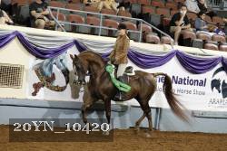 20YN_10420 thumbnail