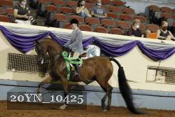20YN_10425 thumbnail