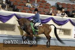20YN_10430 thumbnail