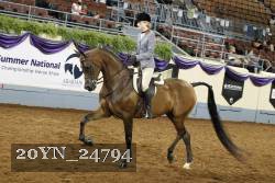 20YN_24794 thumbnail