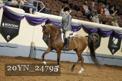 20YN_24795 thumbnail