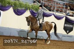20YN_24796 thumbnail