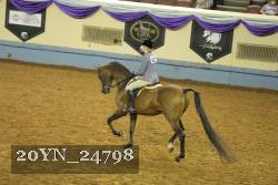 20YN_24798 thumbnail