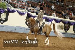 20YN_24800 thumbnail