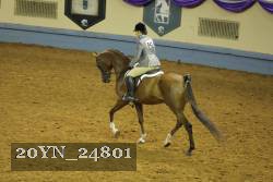20YN_24801 thumbnail