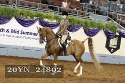 20YN_24802 thumbnail