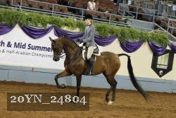 20YN_24804 thumbnail
