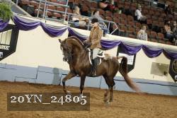 20YN_24805 thumbnail