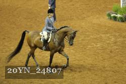 20YN_24807 thumbnail