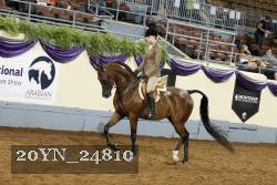 20YN_24810 thumbnail