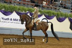 20YN_24811 thumbnail