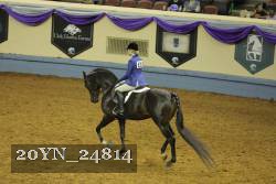 20YN_24814 thumbnail