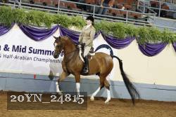 20YN_24815 thumbnail