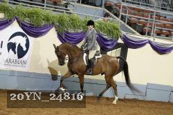 20YN_24816 thumbnail