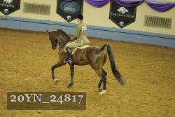 20YN_24817 thumbnail