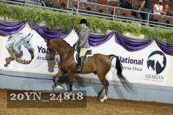 20YN_24818 thumbnail