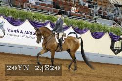 20YN_24820 thumbnail