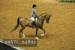 20YN_24821 thumbnail