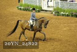 20YN_24822 thumbnail