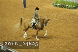 20YN_24825 thumbnail