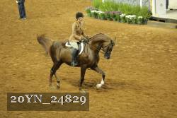 20YN_24829 thumbnail