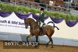 20YN_24832 thumbnail