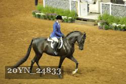 20YN_24833 thumbnail