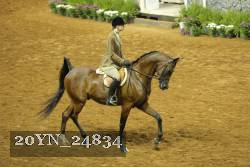 20YN_24834 thumbnail