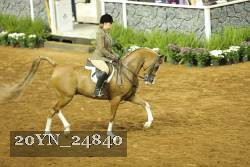 20YN_24840 thumbnail