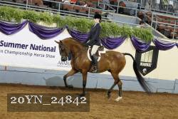 20YN_24842 thumbnail