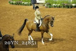 20YN_24851 thumbnail