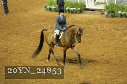 20YN_24853 thumbnail