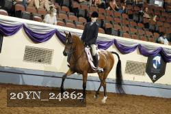 20YN_24862 thumbnail