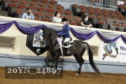 20YN_24867 thumbnail