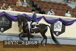 20YN_24868 thumbnail