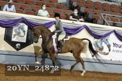 20YN_24872 thumbnail