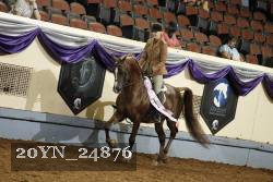 20YN_24876 thumbnail