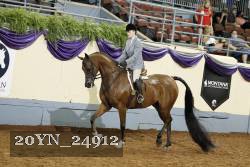 20YN_24912 thumbnail