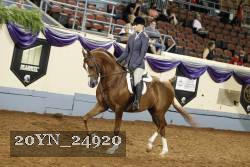 20YN_24920 thumbnail