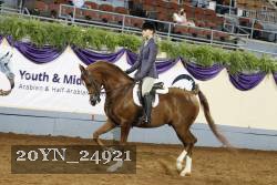 20YN_24921 thumbnail