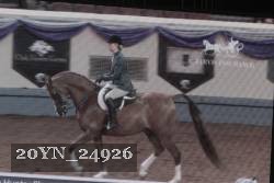 20YN_24926 thumbnail