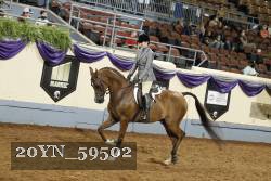 20YN_59502 thumbnail