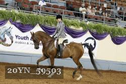 20YN_59503 thumbnail