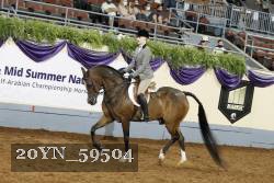 20YN_59504 thumbnail