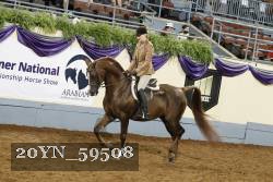 20YN_59508 thumbnail